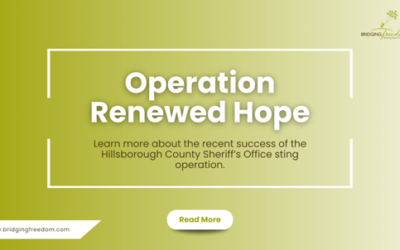 Operation Renewed Hope